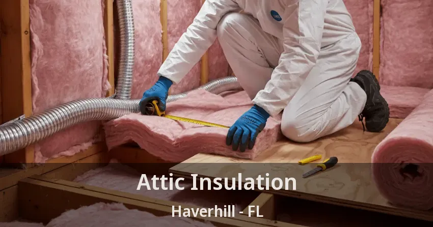 Attic Insulation Haverhill - FL