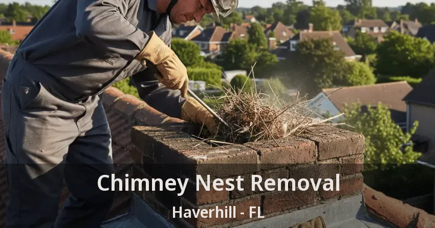 Chimney Nest Removal Haverhill - FL Chimney Nest Removal Haverhill - FL