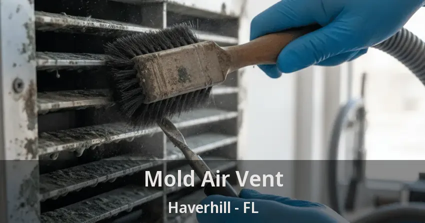 Mold Air Vent Haverhill - FL