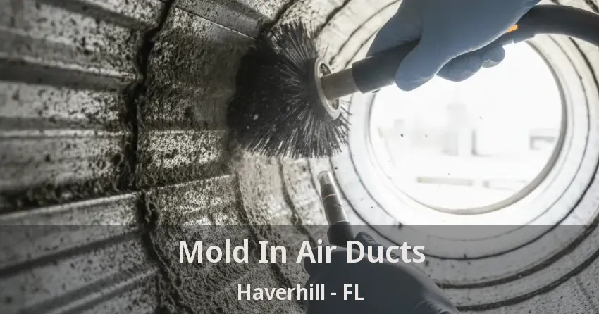 Mold In Air Ducts Haverhill - FL Mold In Air Ducts Haverhill - FL