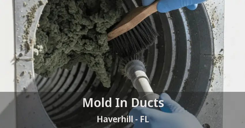 Mold In Ducts Haverhill - FL