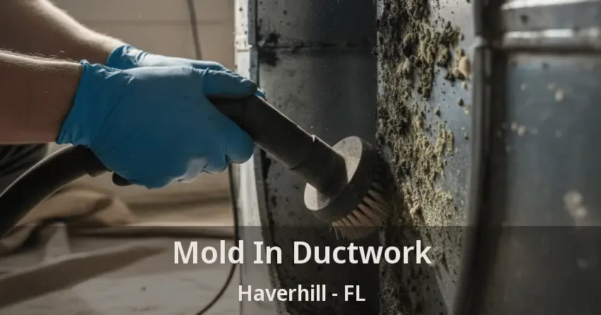Mold In Ductwork Haverhill - FL Mold In Ductwork Haverhill - FL