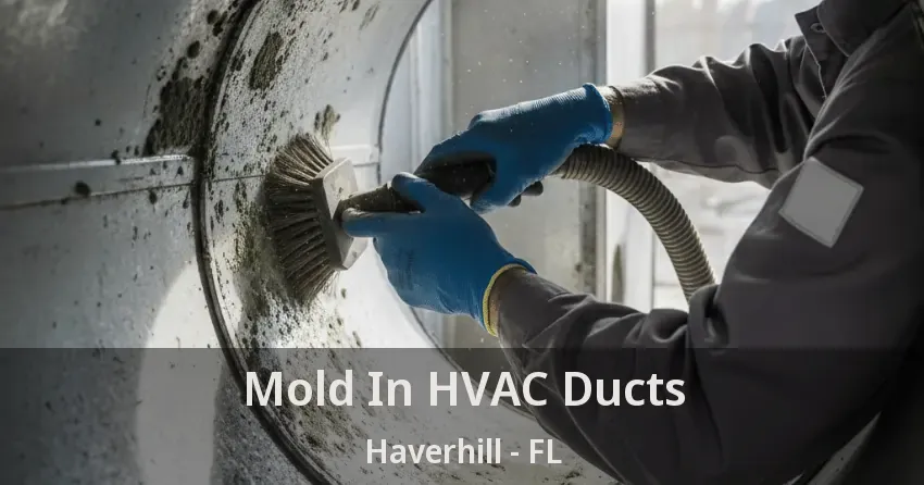 Mold In HVAC Ducts Haverhill - FL
