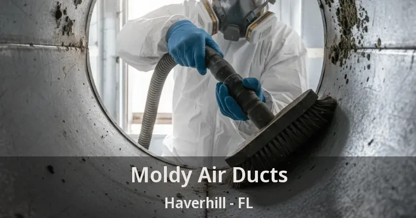 Moldy Air Ducts Haverhill - FL